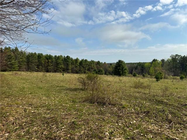 Land for sale in Laurens, New York