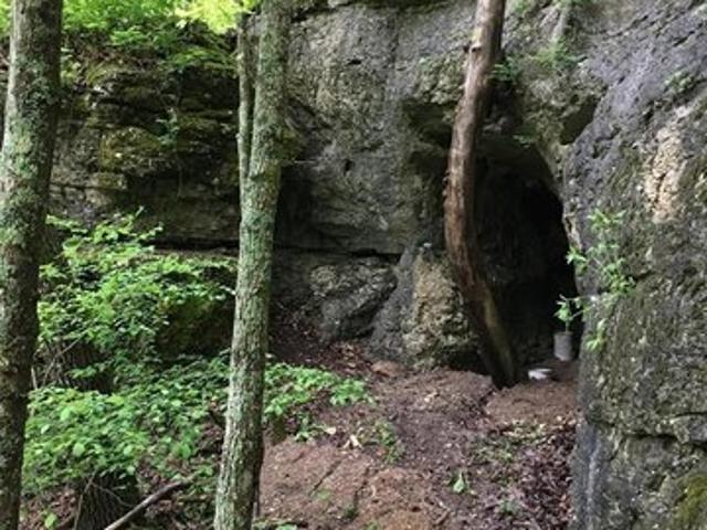 Farm for sale in New Florence, Montgomery County