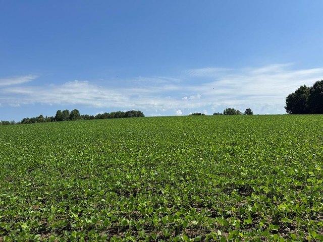 Land for sale in Virginia