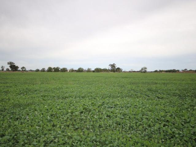 Cottage for sale in Rochester, Victoria