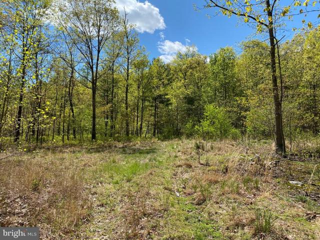 Land for sale in Berkeley Springs, West Virginia
