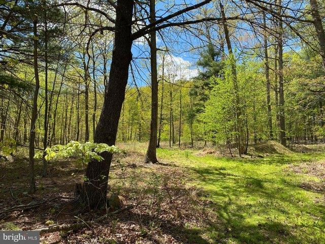 Land for sale in Berkeley Springs, West Virginia