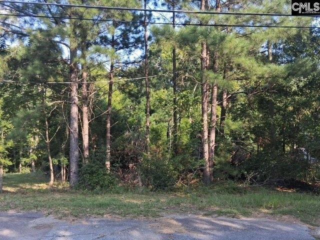 Land for sale in Whitmire, South Carolina