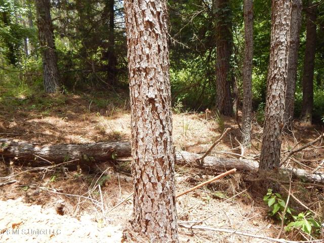 Land for sale in Tillatoba, Mississippi