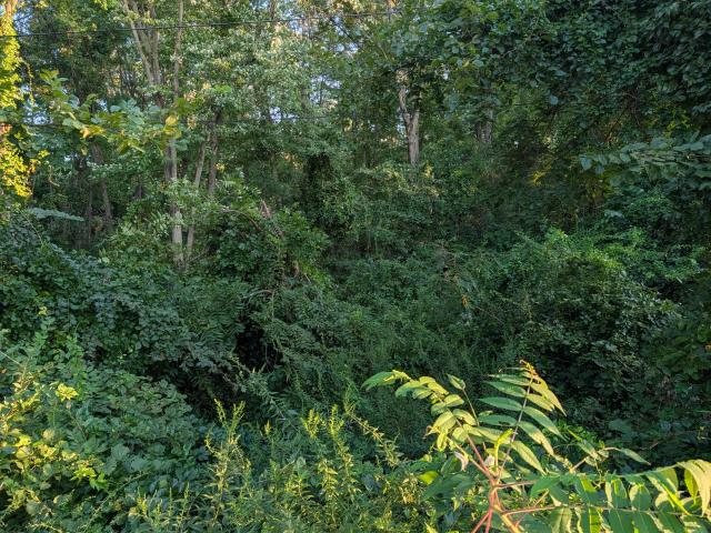Land for sale in Porter, Indiana
