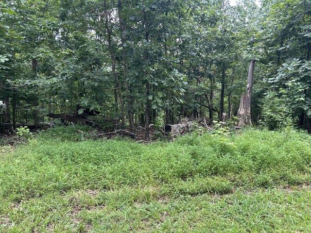 Land for sale in Murray, Kentucky