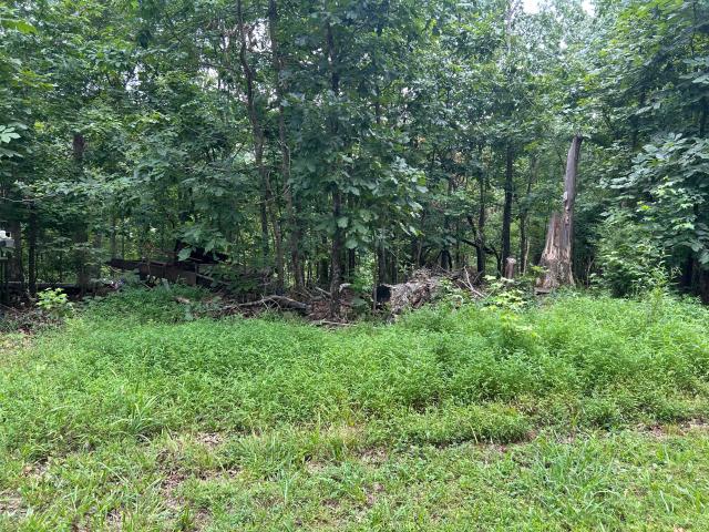 Land for sale in Murray, Kentucky