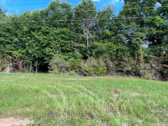 Land for sale in Mississippi