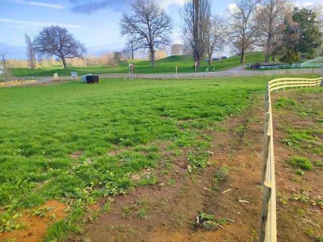Land for sale in Putaruru, Waikato