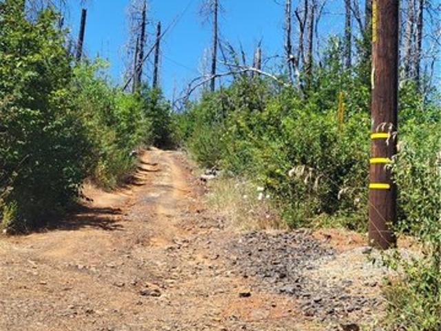 Land for sale in Butte, California