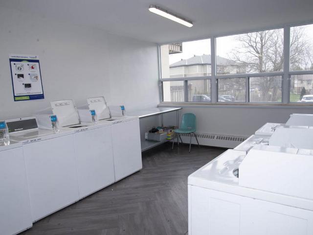 Apartment for rent in Grenville Park, Kingston