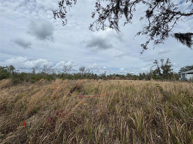 Land for sale in Arcadia, Florida