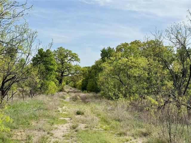 Land for sale in Brownwood, Texas