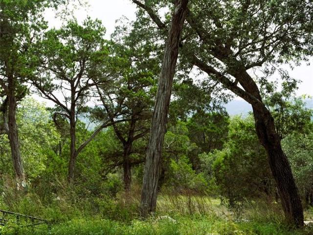 Land for sale in Wimberley, Hays County