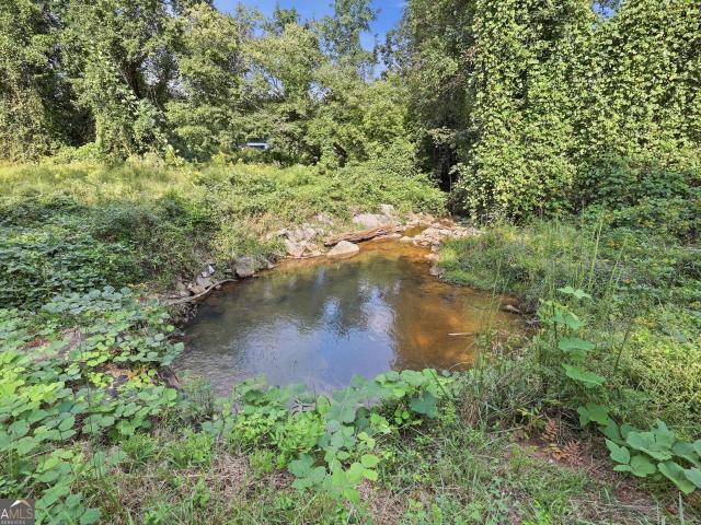 Land for sale in Toccoa, Stephens County