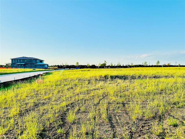 Land for sale in Prosper, Denton County