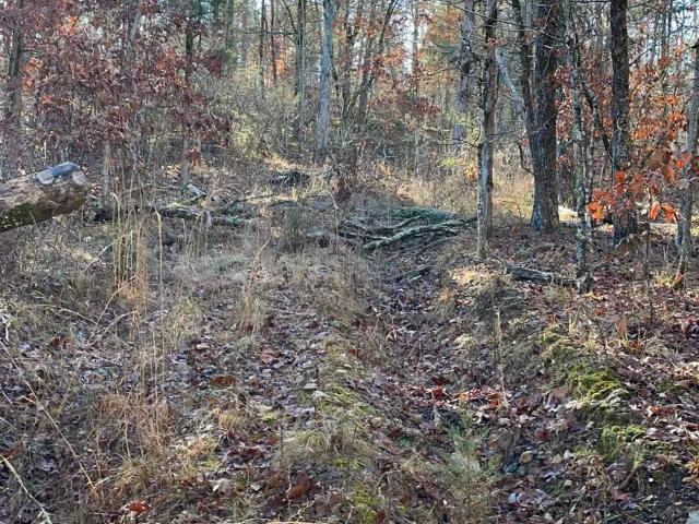 Land for sale in Ark