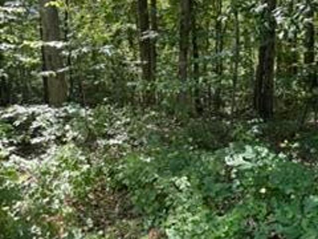 Farm for sale in Tennessee