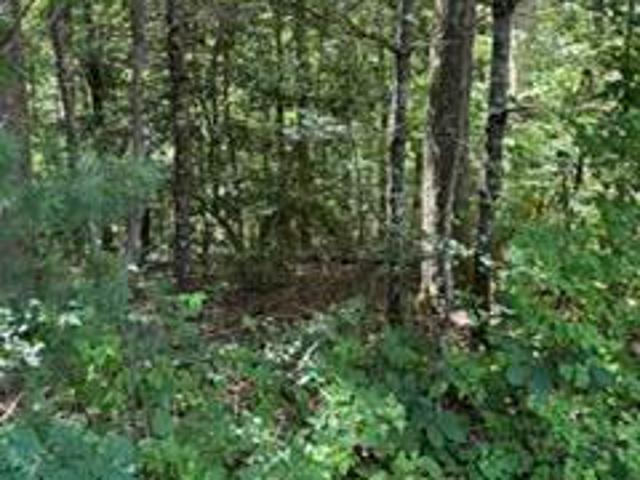 Land for sale in Tennessee