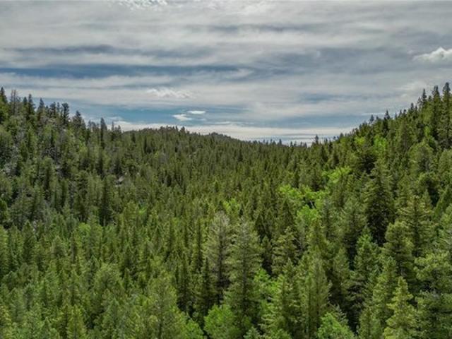 Land for sale in Black Hawk, Colorado
