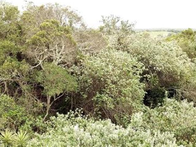 Land for sale in Bathurst, Ndlambe Local Municipality