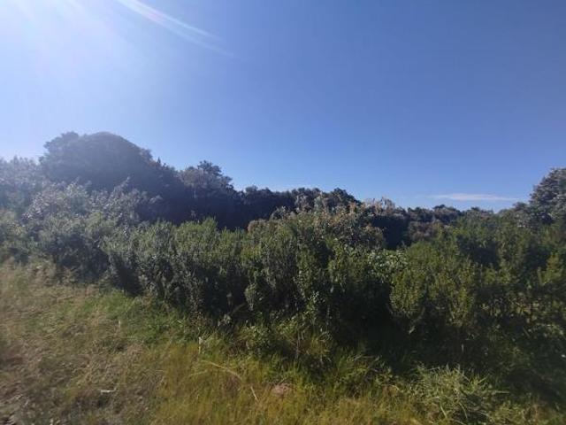 Land for sale in Bushmans River Mouth, Eastern Cape