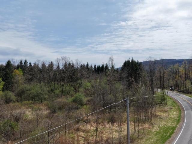 Land for sale in Guilderland, New York