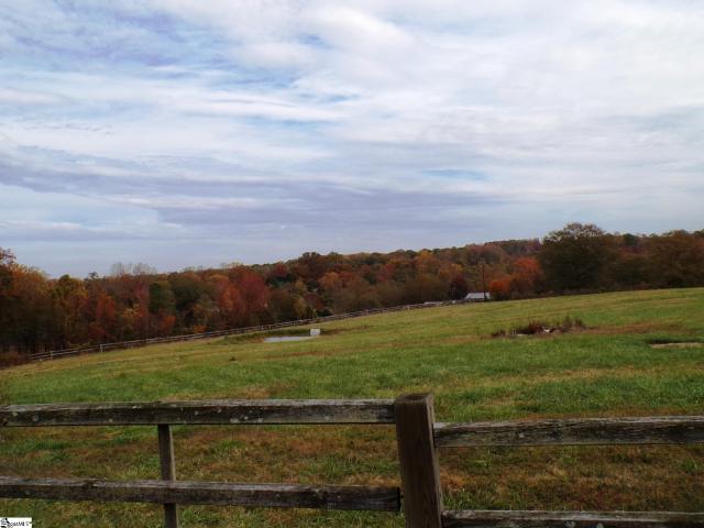 Land for sale in Mayo, South Carolina