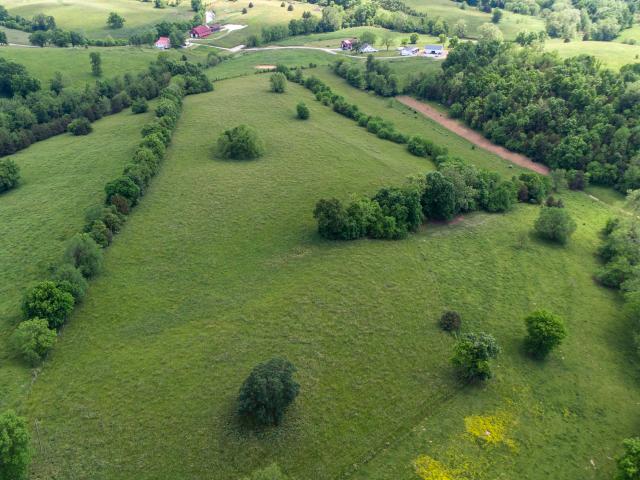 Farm for sale in Cynthiana, Kentucky