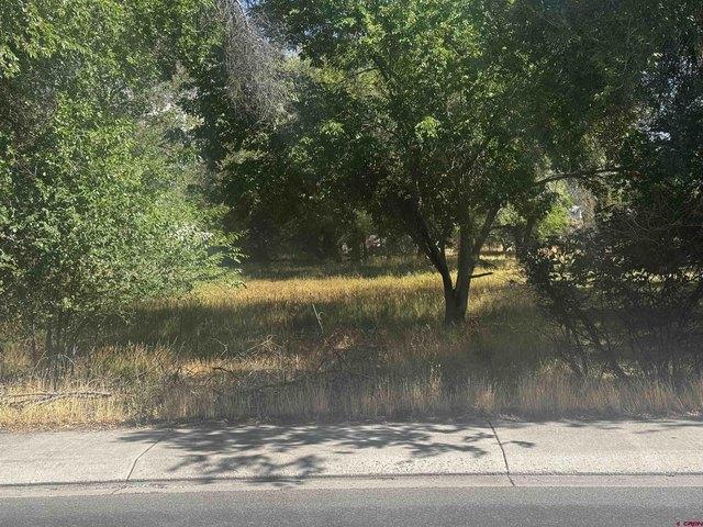 Land for sale in Cedaredge, Colorado