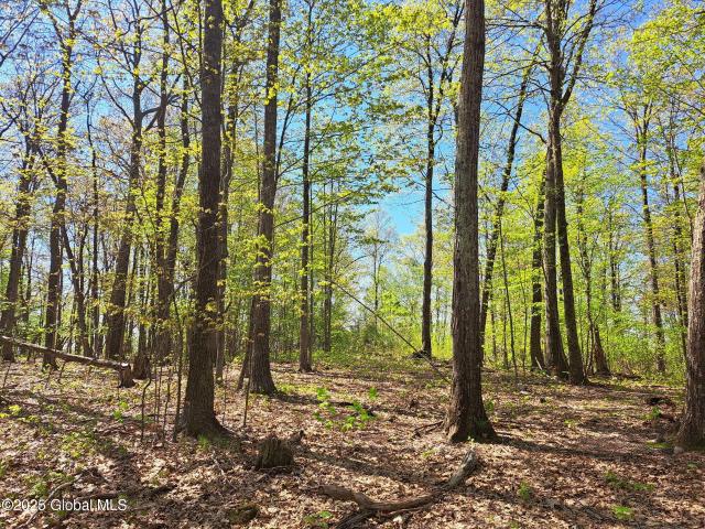 Land for sale in Cossayuna, New York