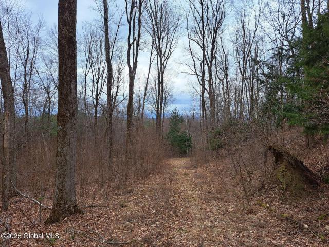 Land for sale in Cossayuna, New York
