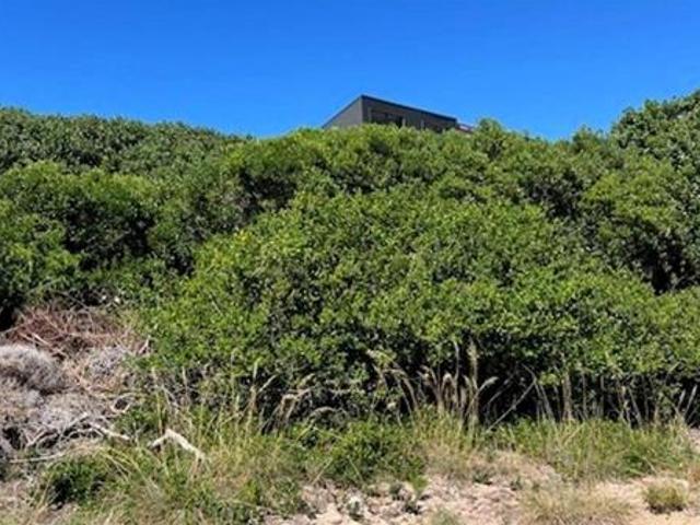 Land for sale in Cape St Francis, Eastern Cape