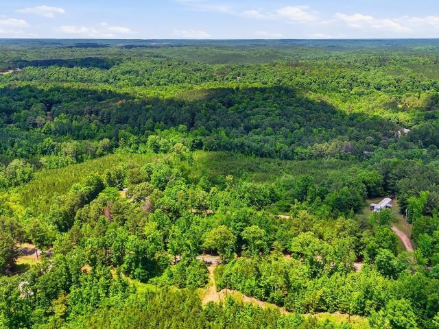 Land for sale in Cordova, Alabama