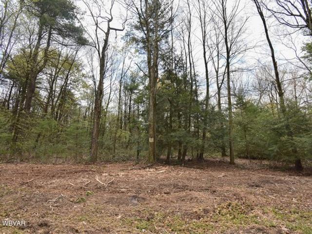 Land for sale in Lock Haven, Pennsylvania