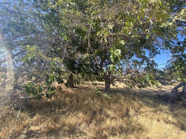 Land for sale in Lake Isabella, California