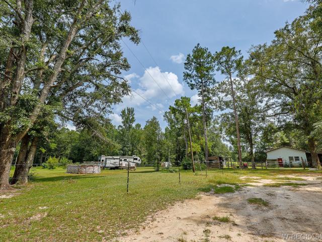 Land for sale in Geneva, Alabama
