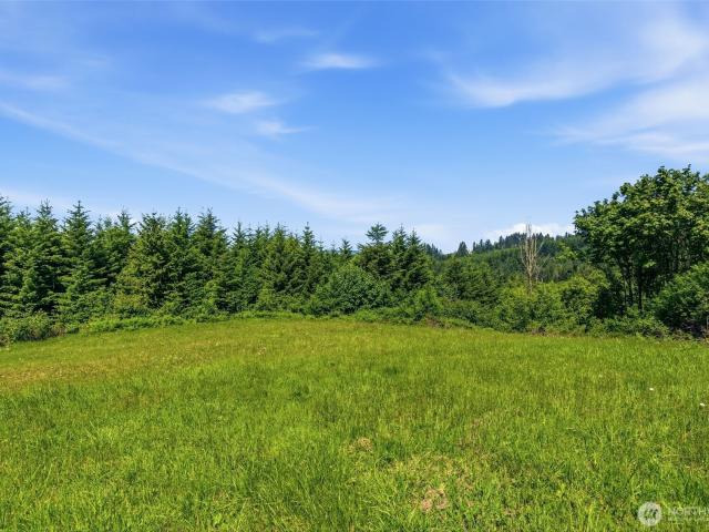 Land for sale in Kalama, Washington