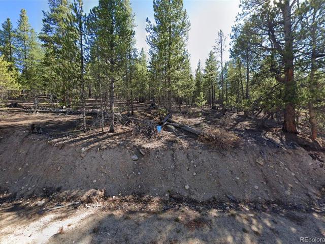 Land for sale in Twin Lakes, Colorado
