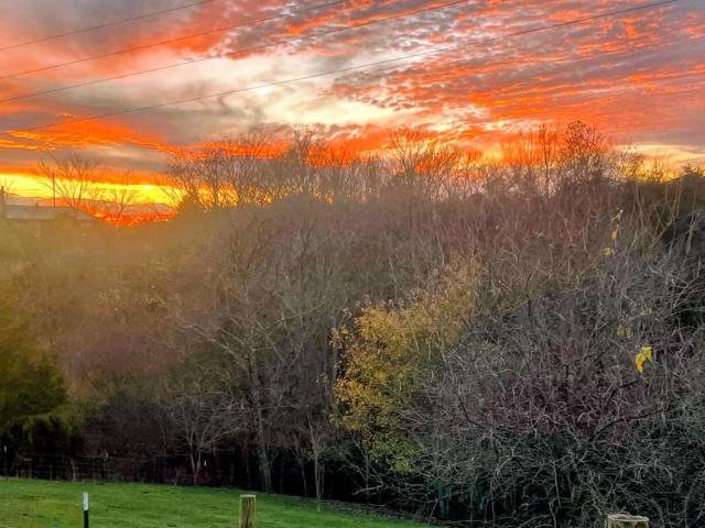 Land for sale in Owenton, Kentucky