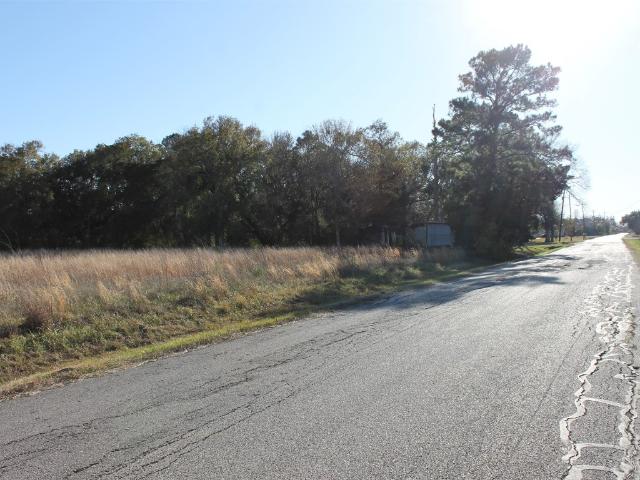 Land for sale in Liverpool, Texas