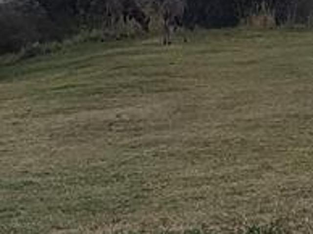 Land for sale in Naboomspruit, Limpopo