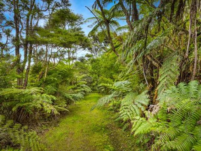 Property for sale in Waimauku