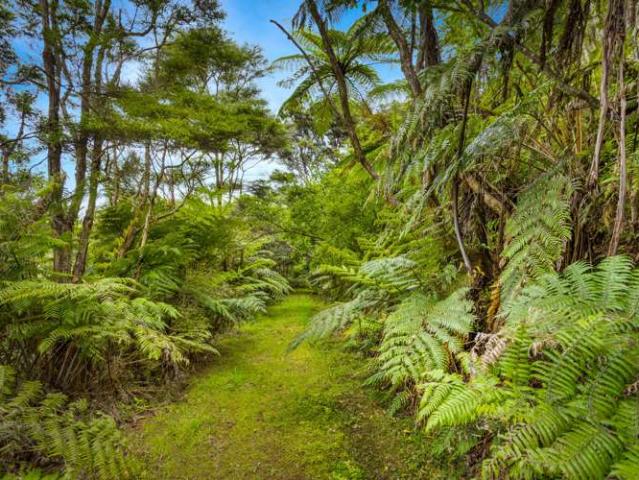 Property for sale in Waimauku
