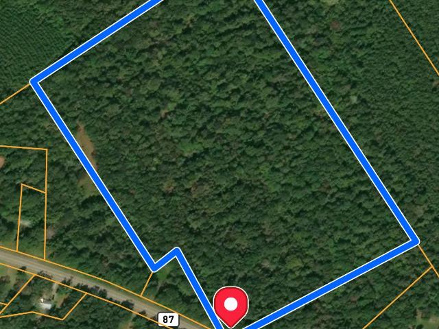 Land for sale in Newton, Texas