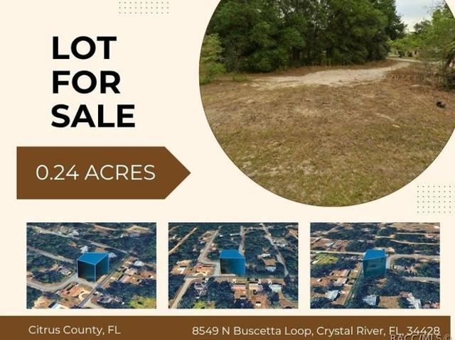 Land for sale in Crystal River, Florida