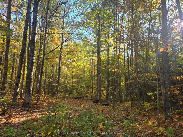 Land for sale in Lanark Highlands, Ontario