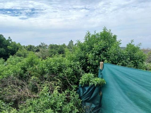 Land for sale in Bisho, Eastern Cape