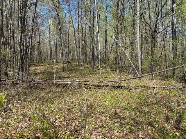 Land for sale in Twin Lakes Township, Carlton County