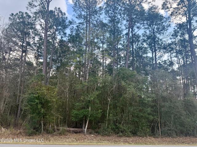 Land for sale in Diamondhead, Mississippi